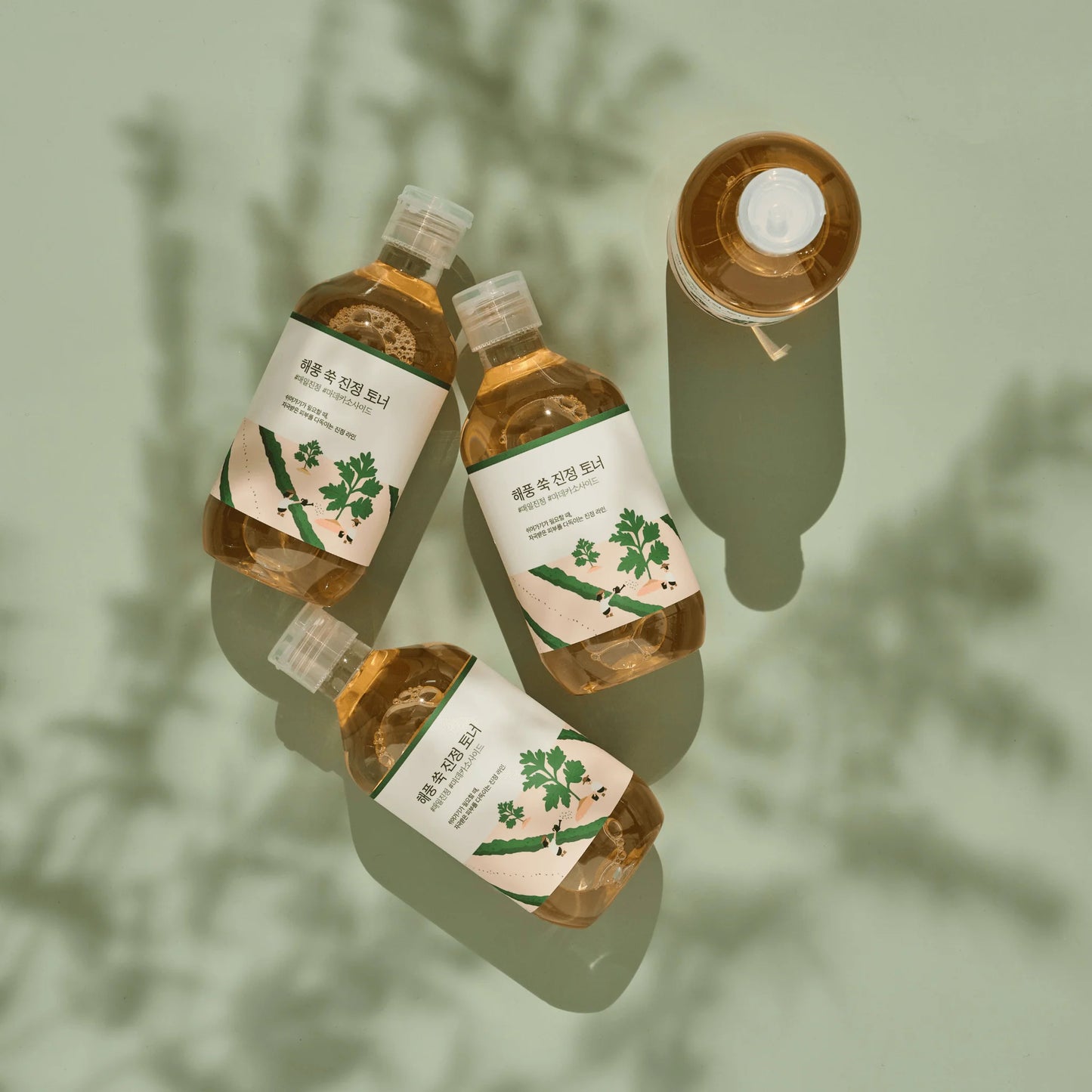 ROUND LAB - Mugwort Calming Toner - 300ml